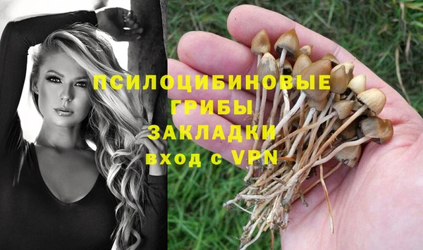 гашишное масло Магас